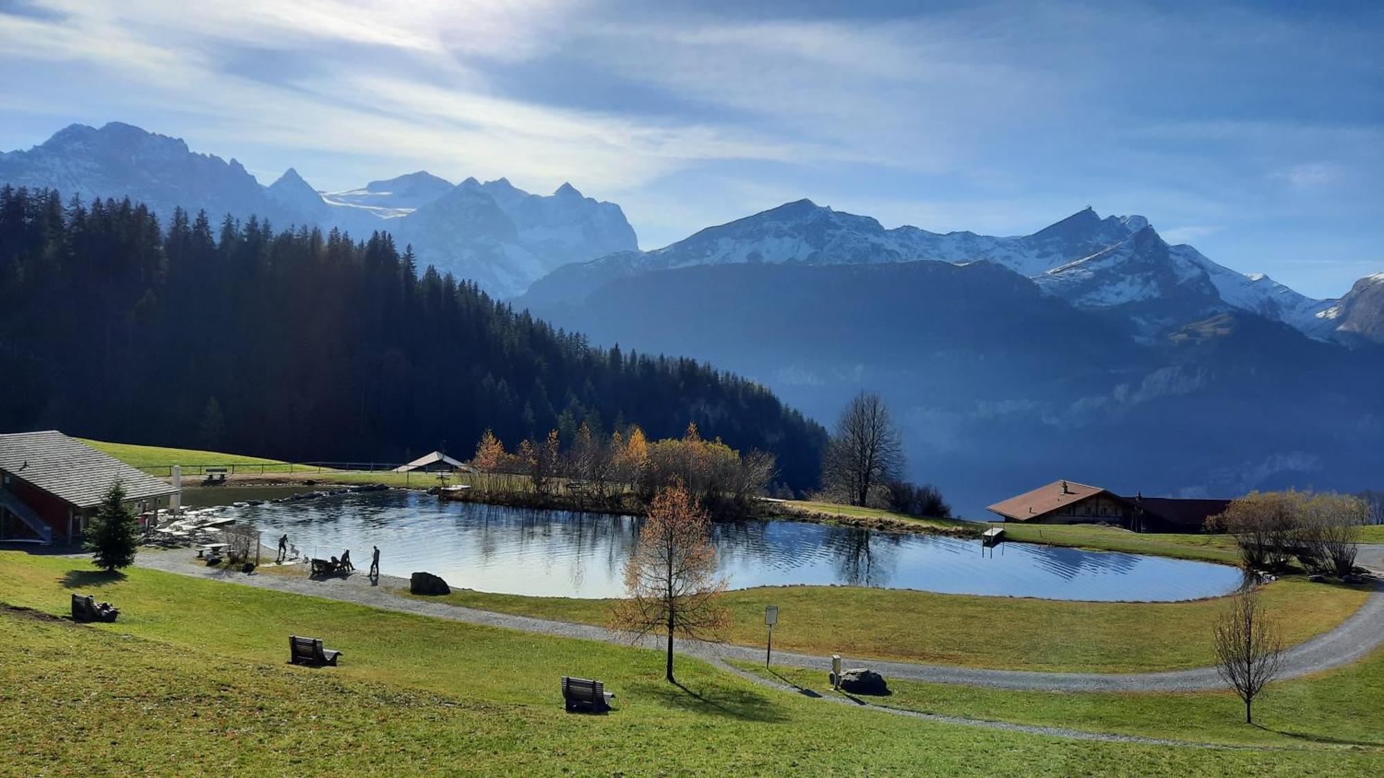 Chalet Blatti Hasliberg Rom bilde