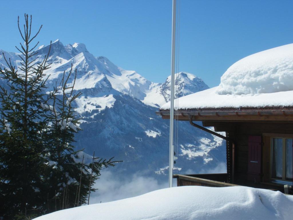 Chalet Blatti Hasliberg Eksteriør bilde